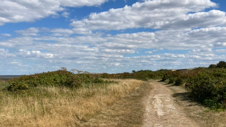 Als Sylt noch Sansibar, Samoa und Abessinien war
